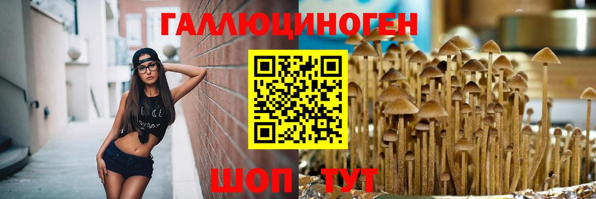 Псилоцибиновые грибы Psilocybine cubensis  Вход с VPN  как найти закладки  Дзержинск 